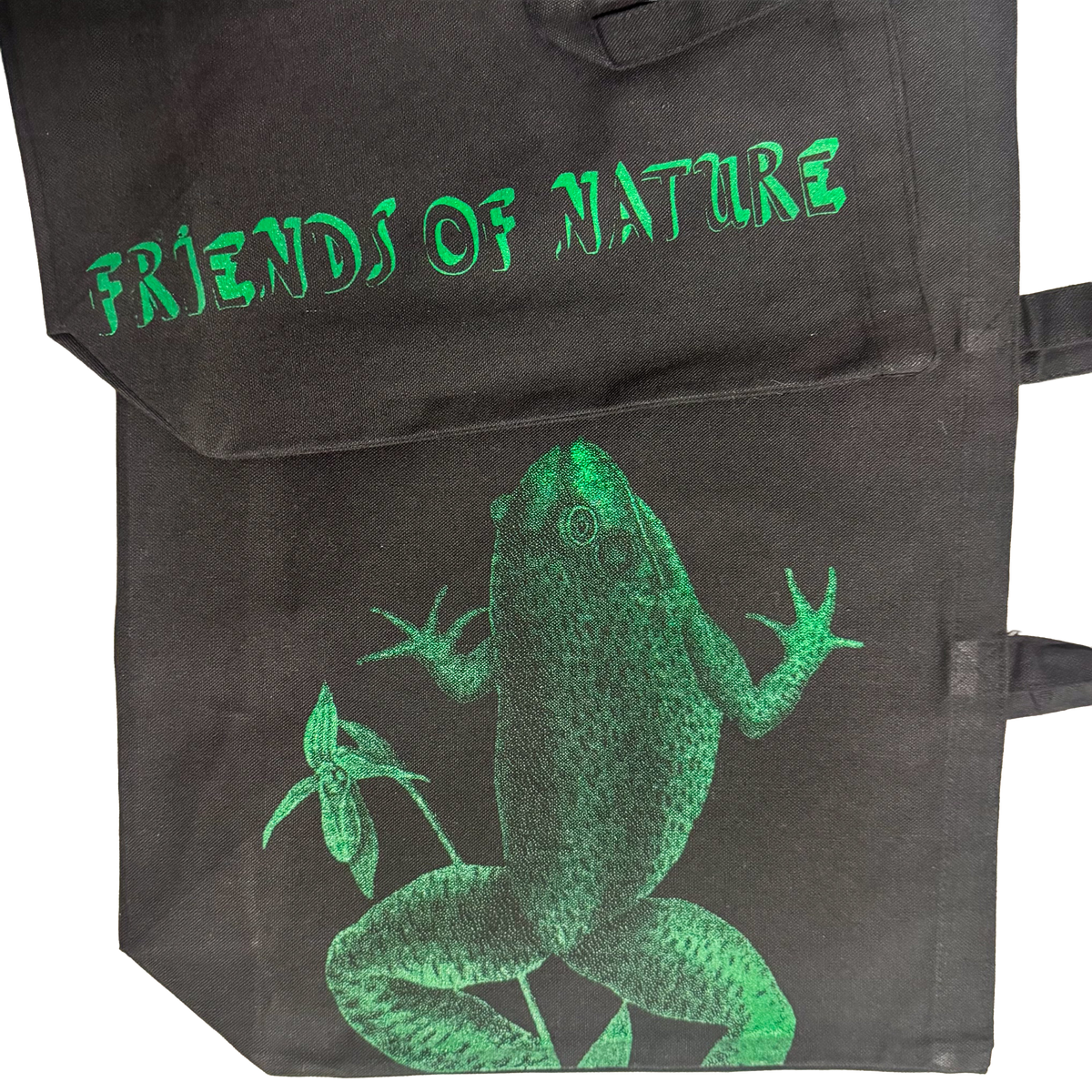 frog
