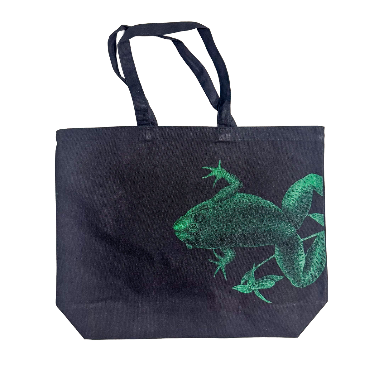 frog