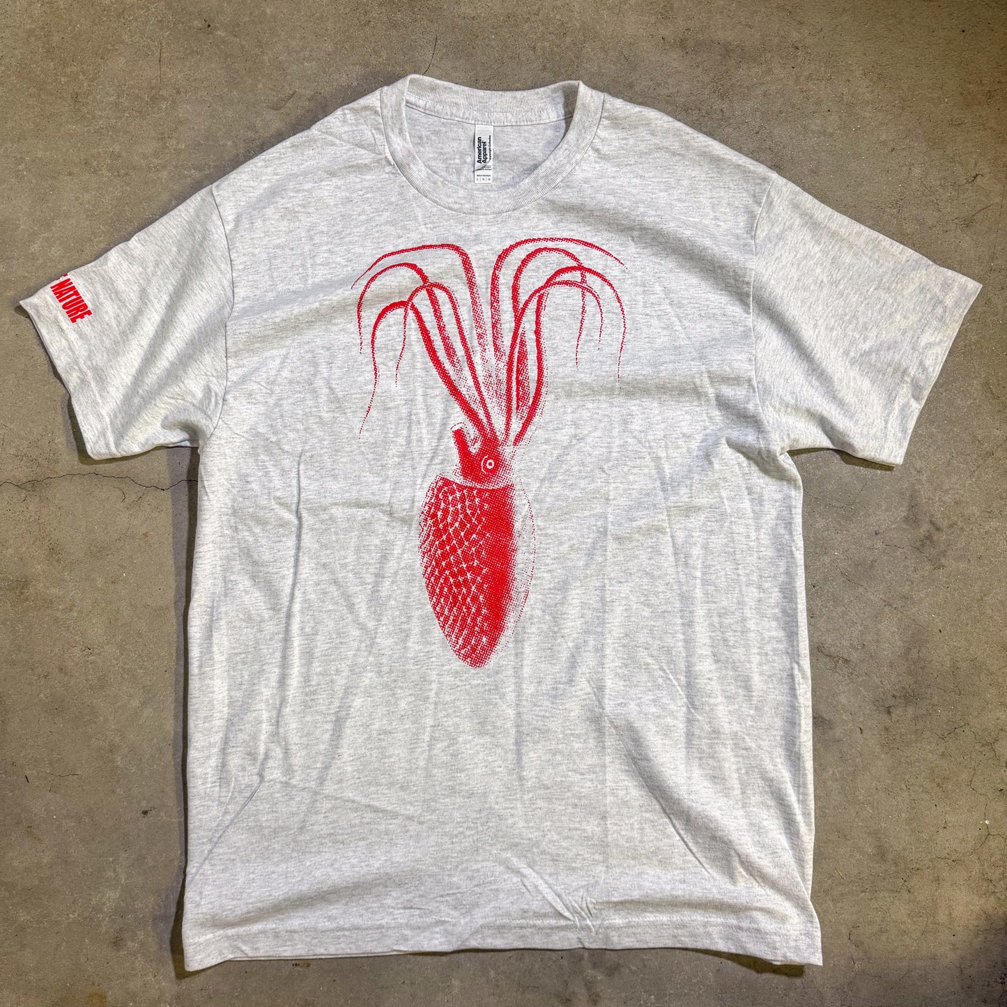 SQUID