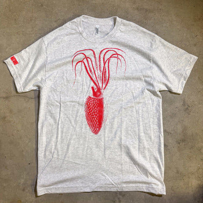 SQUID